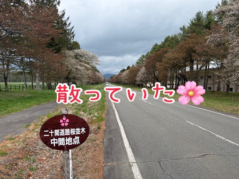 鍛高譚(たんたかたん)さんのうらかわ優駿ビレッジアエルのサ活写真