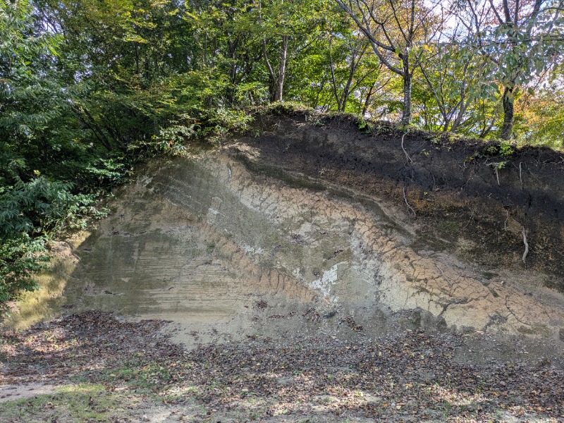 当然さんさんの三瓶温泉 国民宿舎 さんべ荘のサ活写真