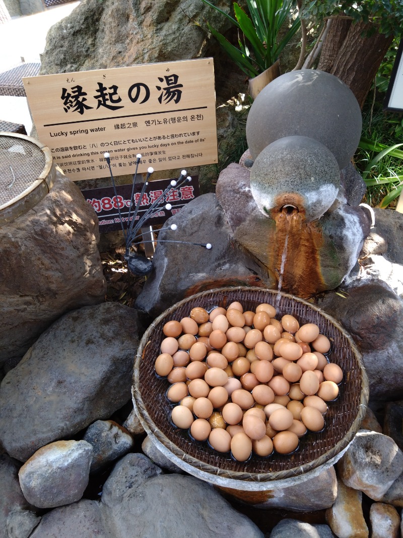 さうにゃんさんのひょうたん温泉のサ活写真