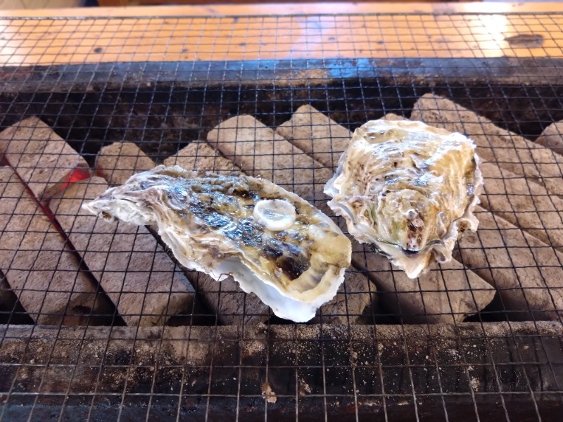 さうにゃんさんの神話の湯(青島フィッシャーマンズ・ビーチサイドホステル&スパ)のサ活写真