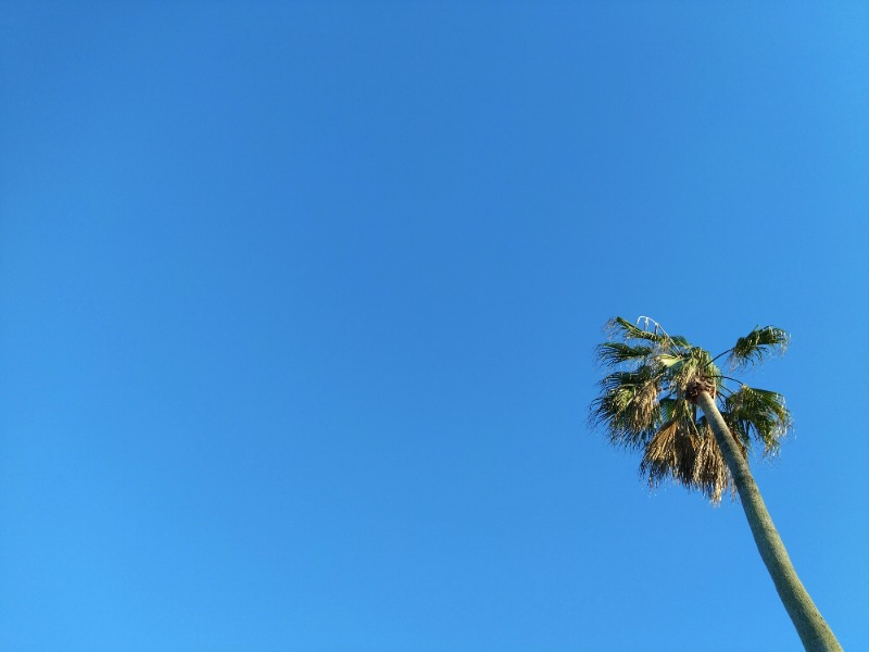 さうにゃんさんの青島フィッシャーマンズ・ビーチサイドホステル&スパ(神話の湯)のサ活写真