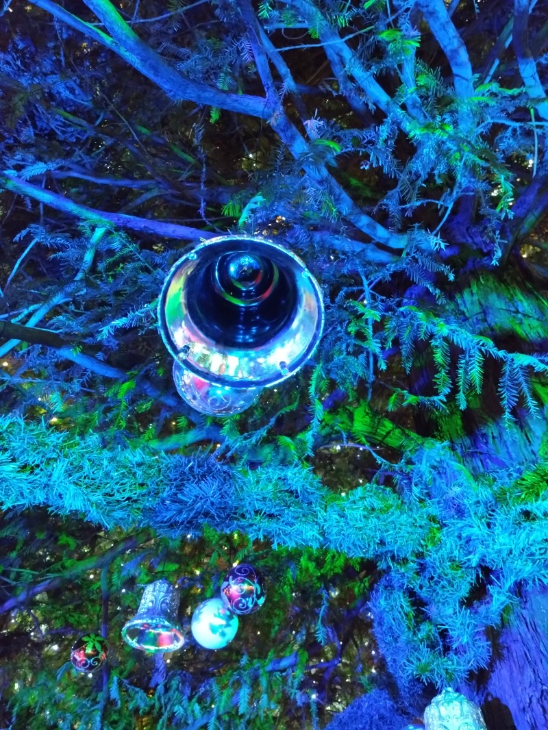 さうにゃんさんの天然温泉 有馬六ツ門の湯(グリーンリッチホテル久留米)のサ活写真