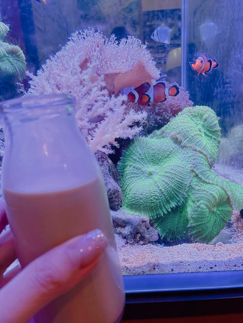 整合性さんの矢向湯のサ活写真