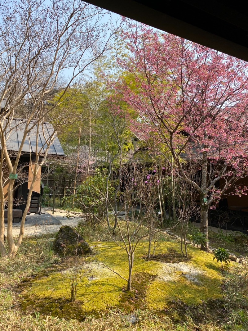 あつのすけさんの箱根湯寮のサ活写真