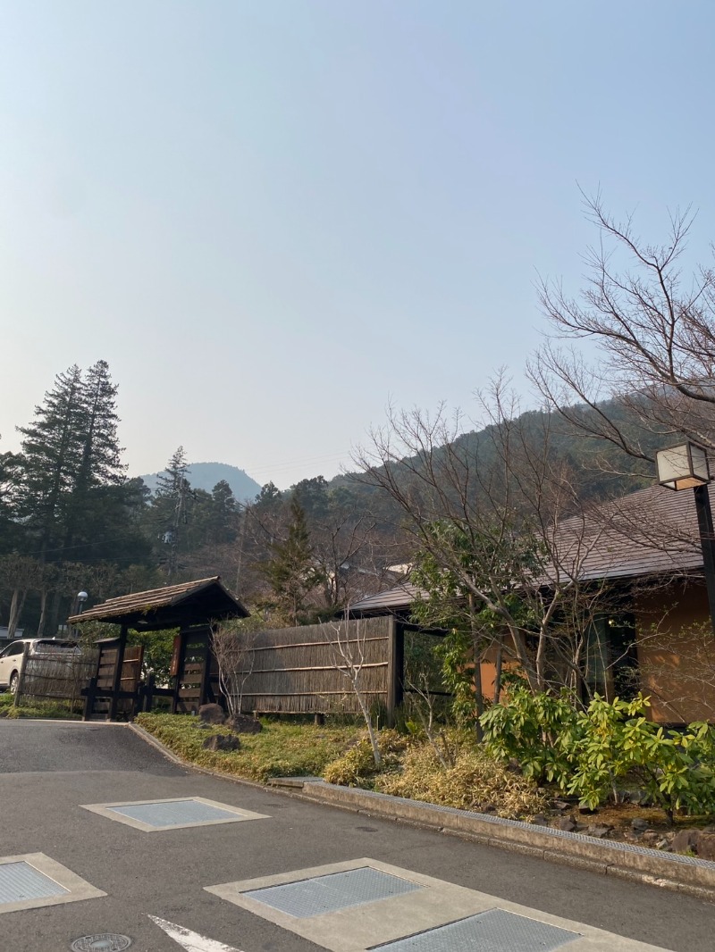 あつのすけさんの湯乃泉 東名厚木健康センターのサ活写真