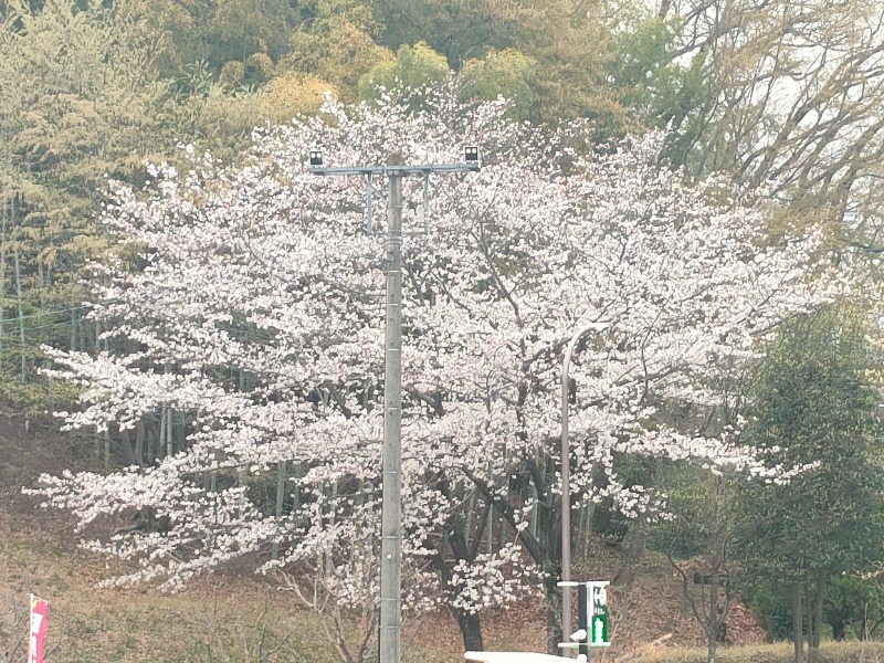 あつのすけさんの横浜青葉温泉 喜楽里別邸のサ活写真