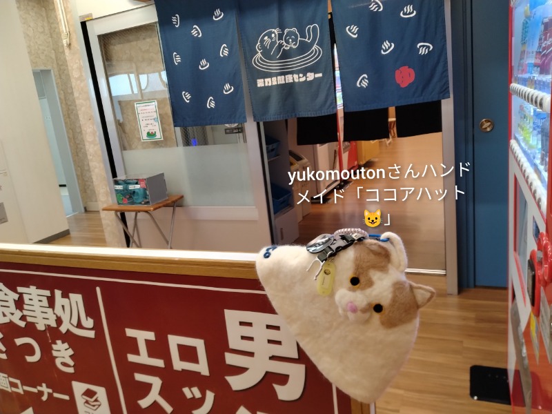 CoCoちん🐱👑さんの湯乃泉 東名厚木健康センターのサ活写真
