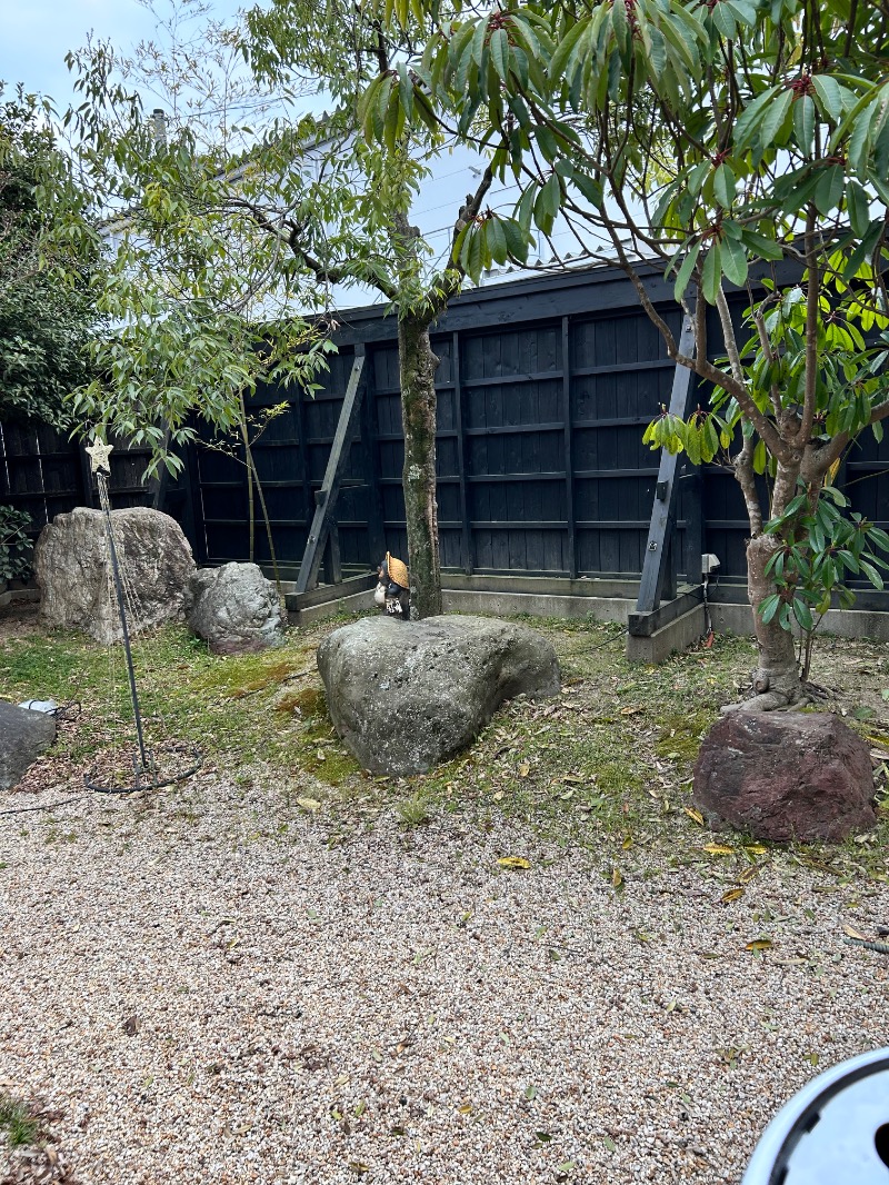 bossさんの水口温泉つばきの湯のサ活写真