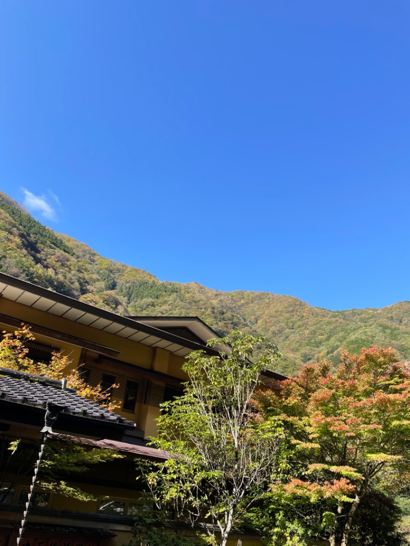 虫親父さんの西山温泉 慶雲館のサ活写真