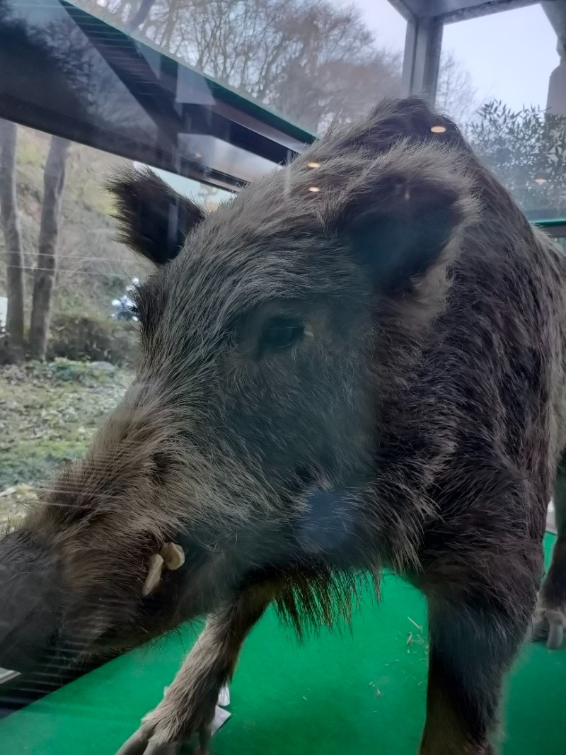 あつのすけさんの秋山温泉のサ活写真