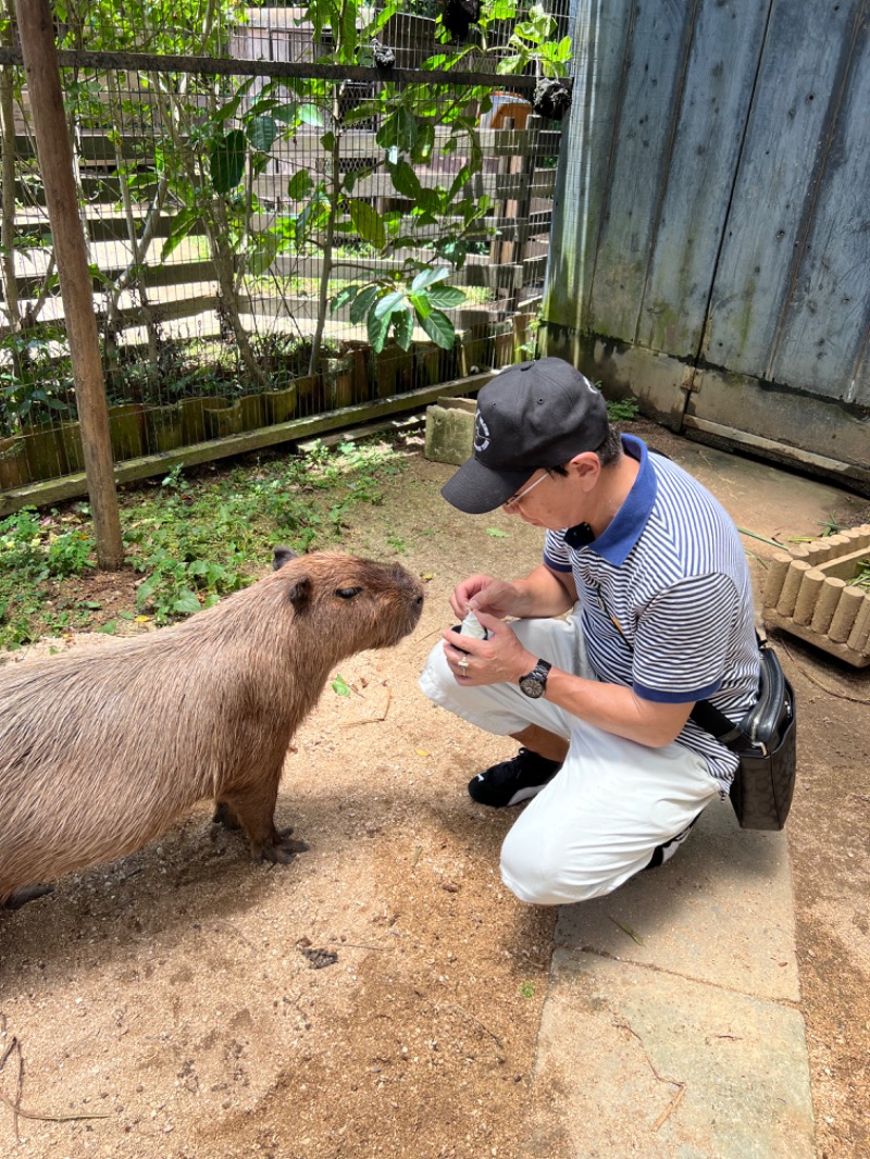 kazzcapy216さんのエナジック天然温泉アロマのサ活写真