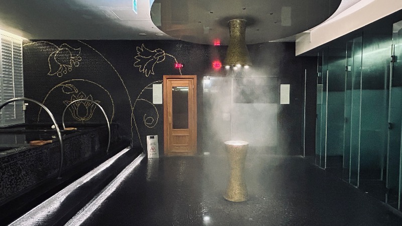 shoya310さんのW台北のサ活写真