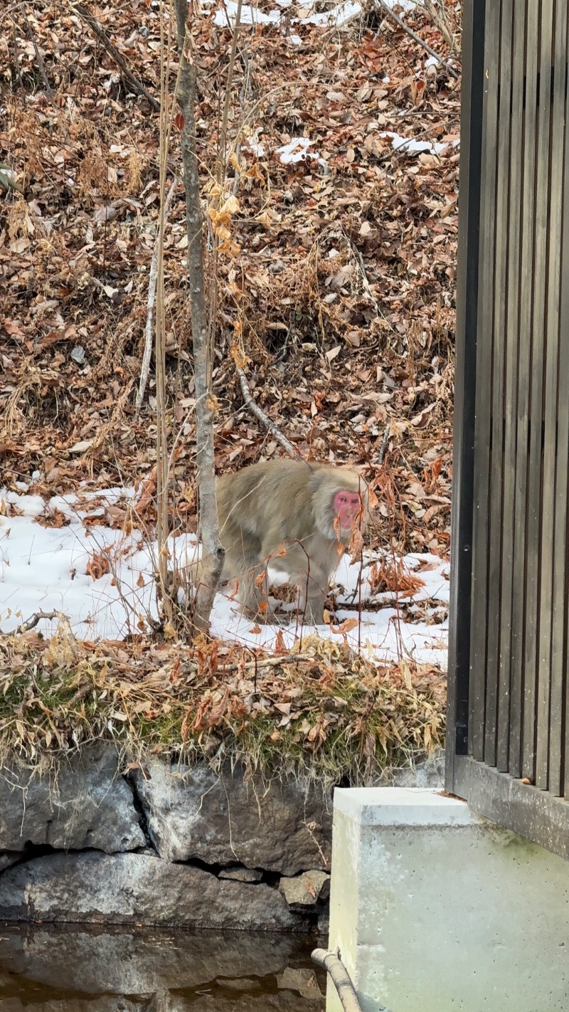 てぃーが🐯さんの星野温泉 トンボの湯のサ活写真