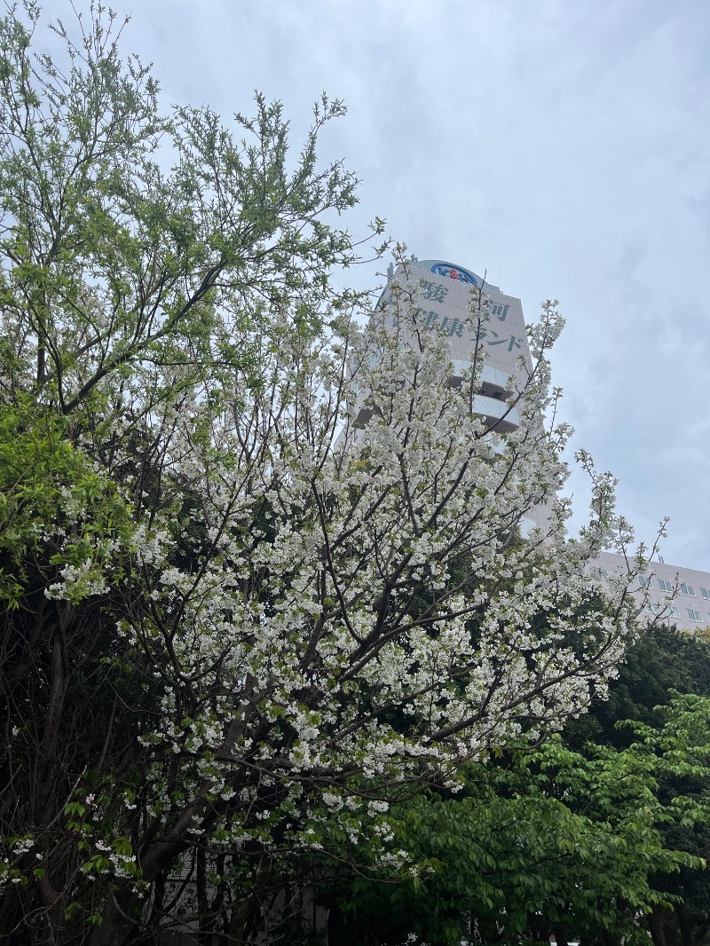 もえびさんの駿河健康ランドのサ活写真