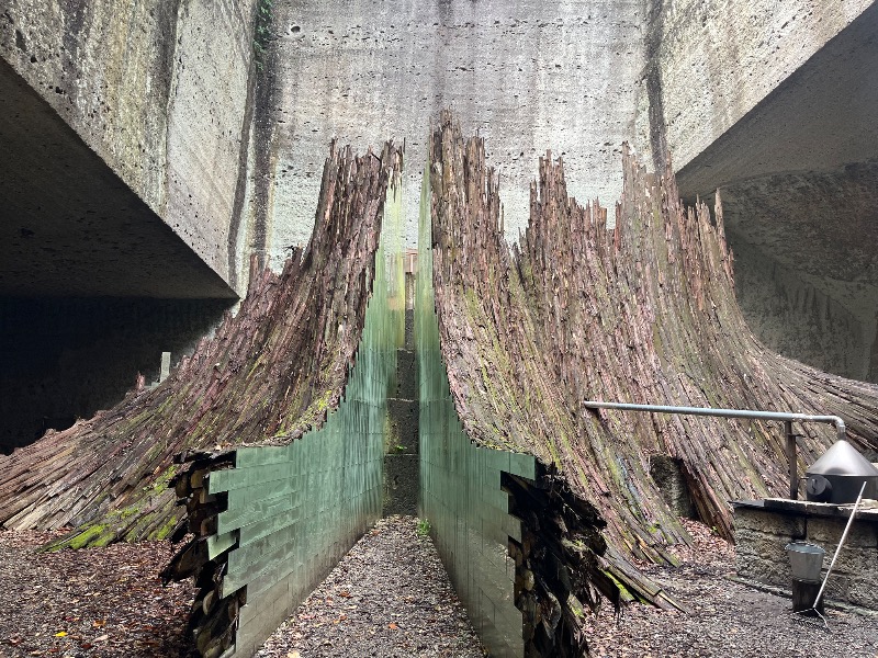 どらさんの大谷元気炉 六号基 |AZUMAYAのサ活写真