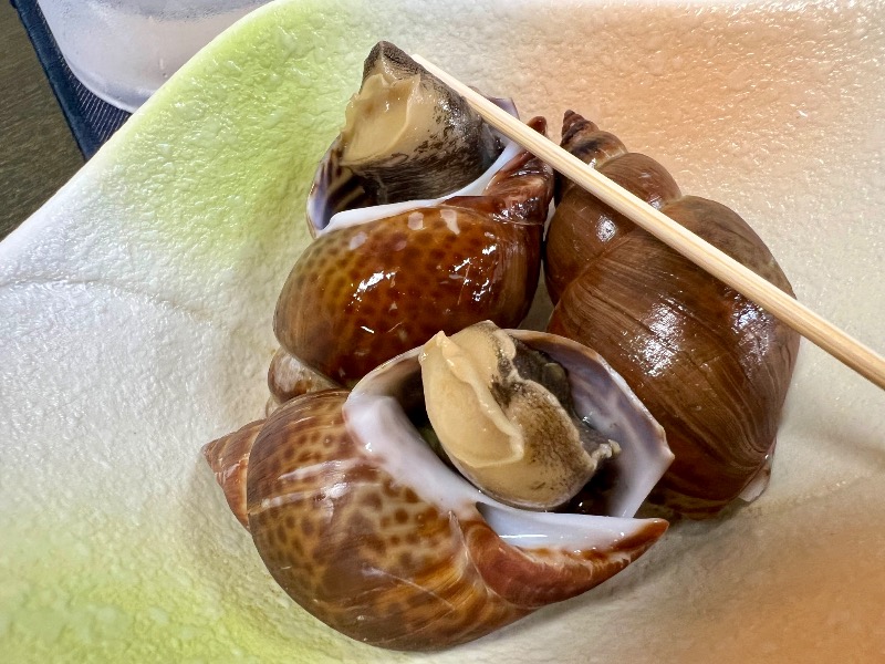 くいしん坊萬斎さんの駿河健康ランドのサ活写真