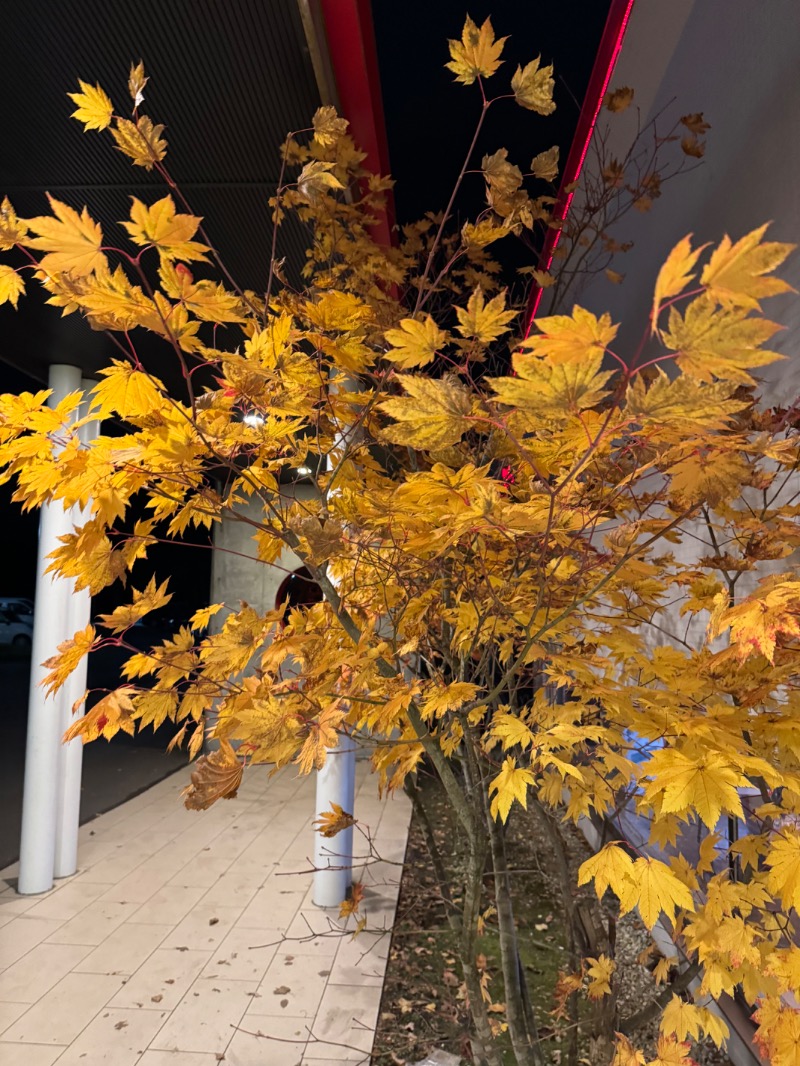 少年さんの札幌 北広島クラッセホテル  楓楓のサ活写真