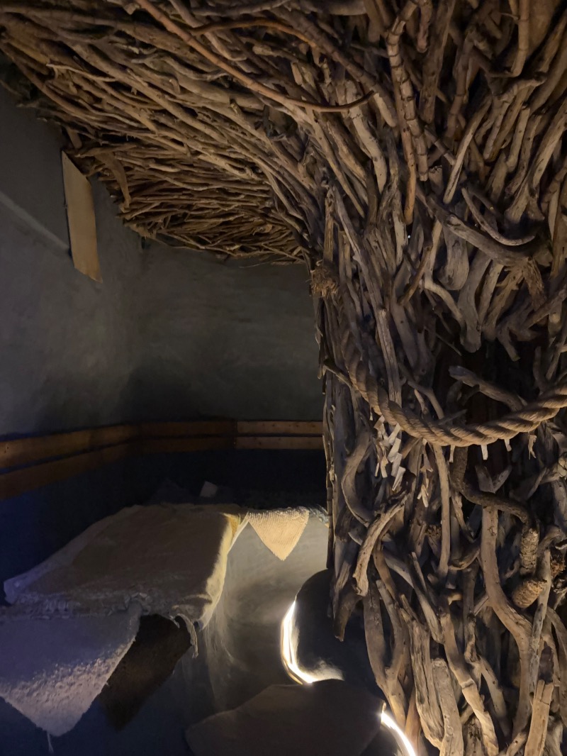 aoiさんのサウナ発達のサ活写真