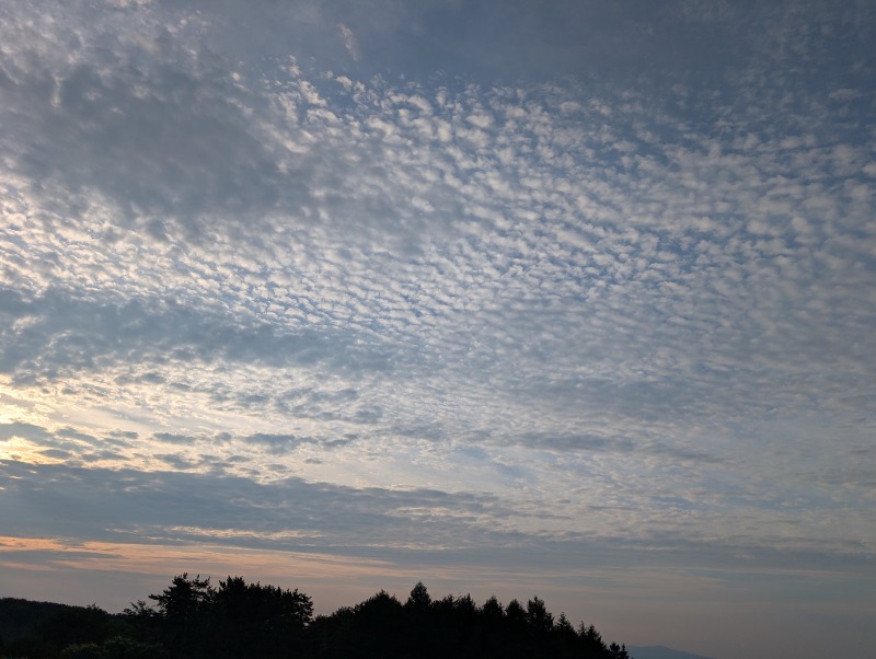 ネオ、山崎。さんのQuiet Storm Nasuのサ活写真