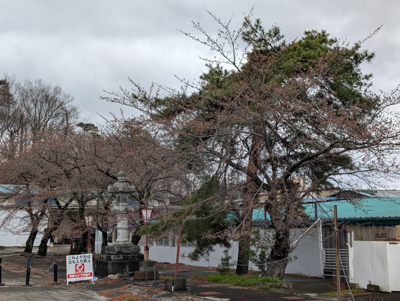 ネオ、山崎。さんのひばり温泉のサ活写真