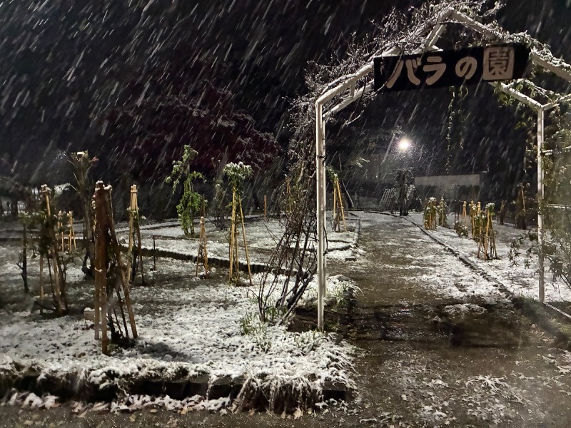 MSオジ（ムスクル）さんのクアハウス碁点のサ活写真