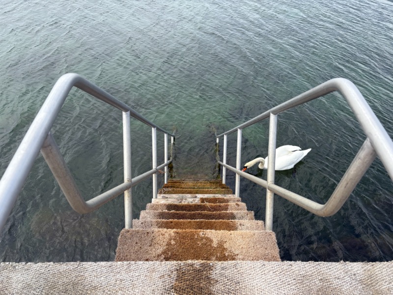 DJANGOさんのリバースボルク野外浴場のサ活写真