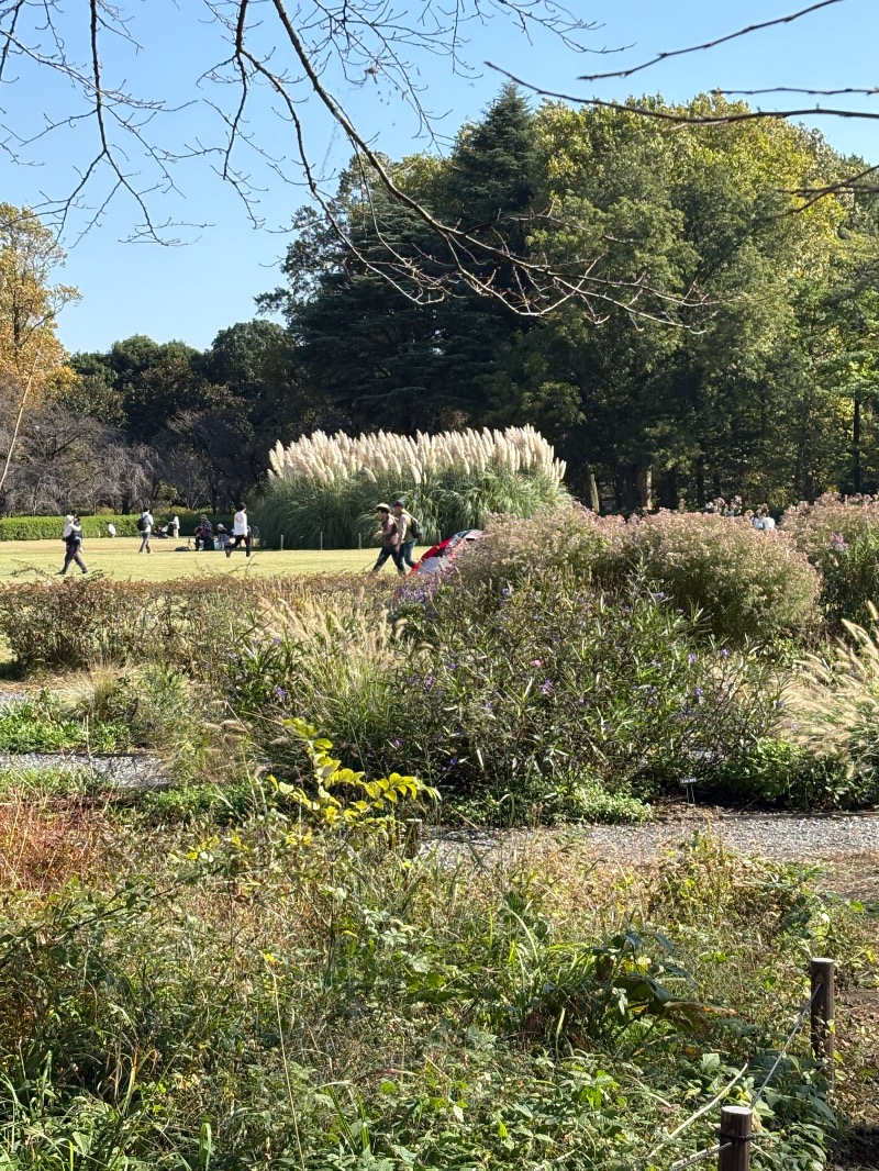 安里屋ユン太さんのおふろの王様 花小金井店のサ活写真