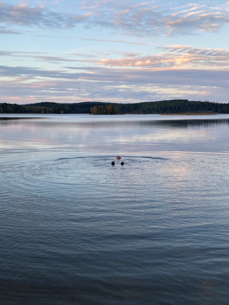 トントゥ島の住人さんのSauna Village Saunakylä (サウナキュラ)のサ活写真