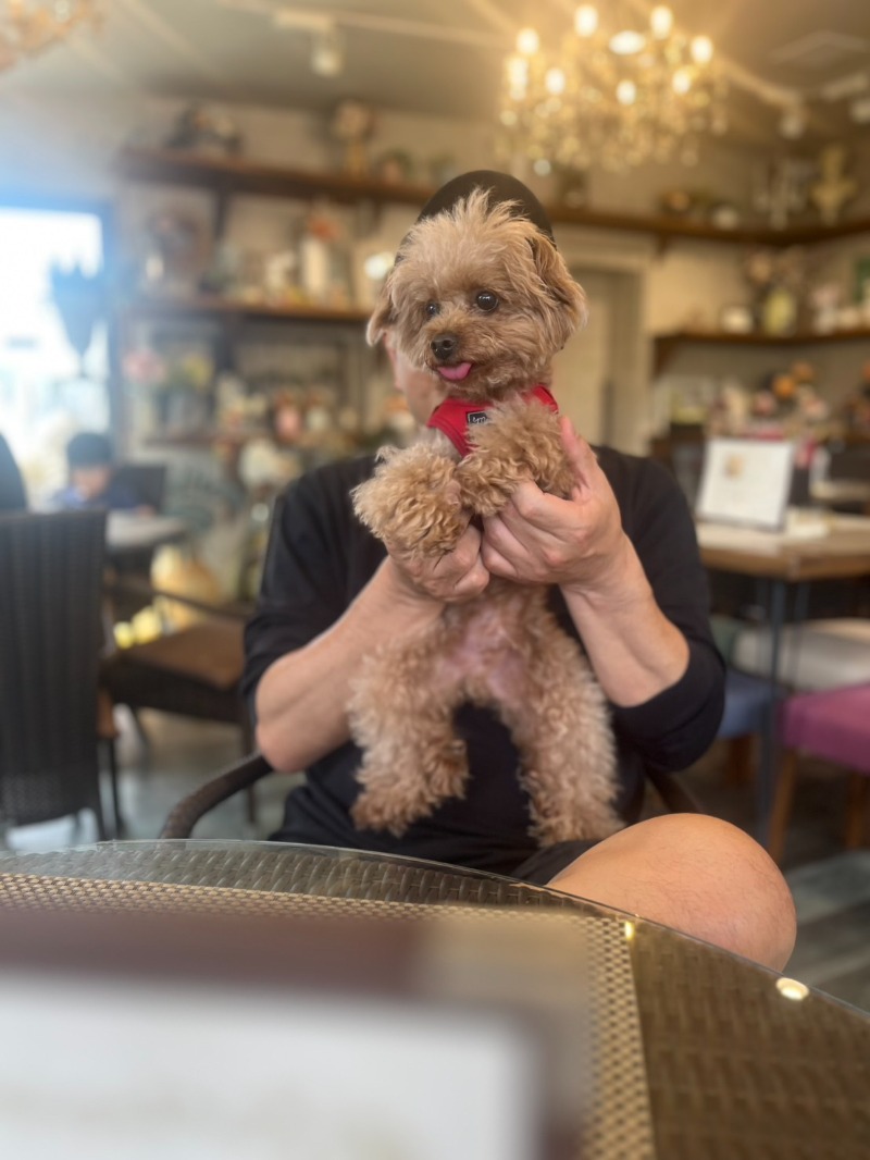 ひろのりさんの桃太郎温泉 一湯館のサ活写真
