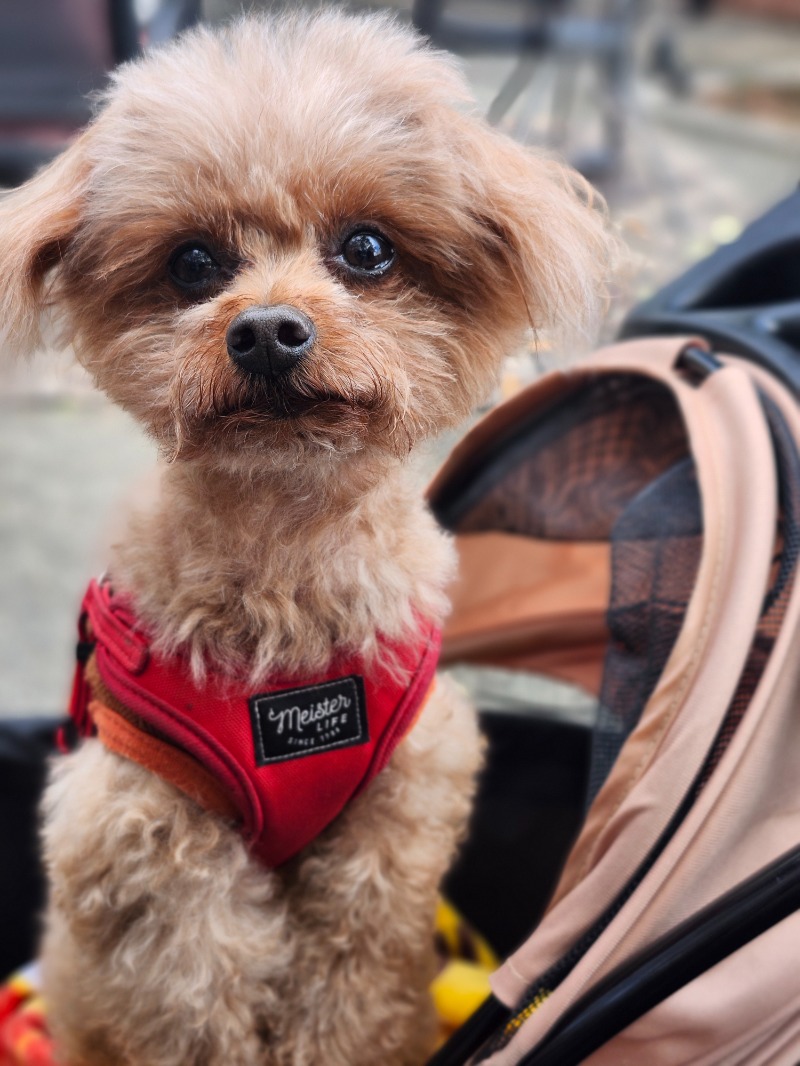 ひろのりさんの神戸レディススパのサ活写真