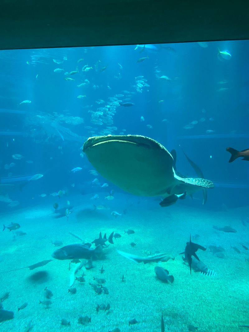 もじゃもじゃさんの大江戸温泉物語 箕面温泉スパーガーデン (箕面観光ホテル)のサ活写真