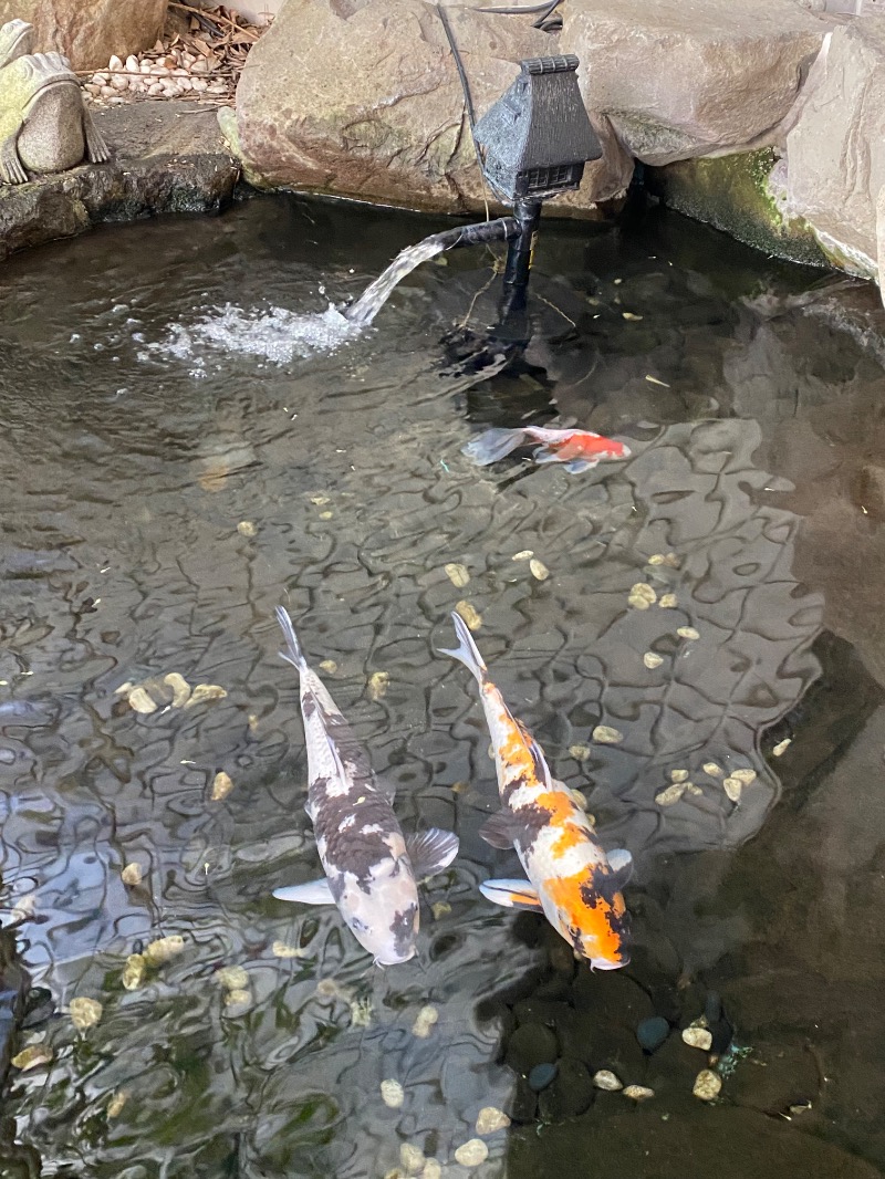 もじゃもじゃさんのitadaki Sauna19のサ活写真