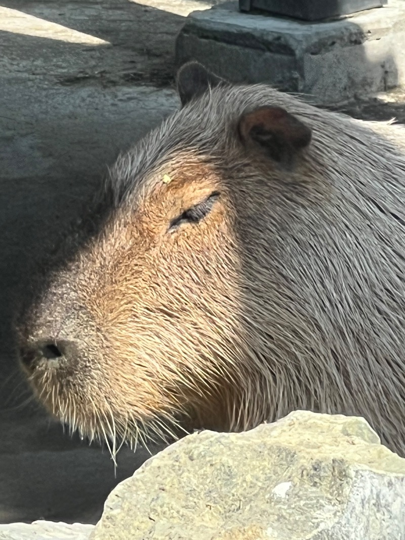kazzcapy216さんの石狩天然温泉 番屋の湯のサ活写真