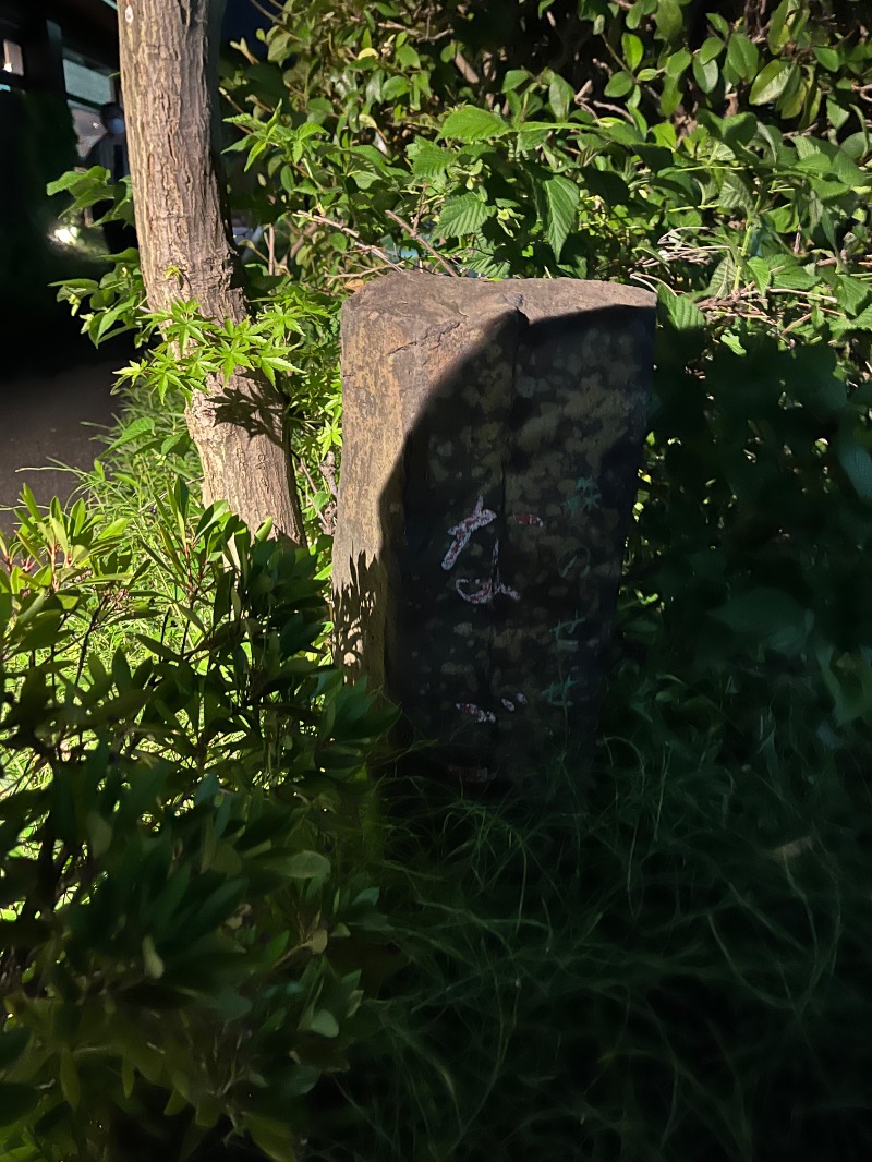 多分、ユアさんの天然温泉 森のせせらぎ なごみのサ活写真