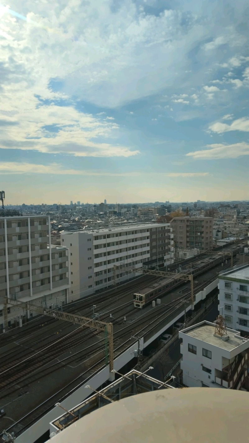 blueninjaさんの天空のアジト マルシンスパのサ活写真