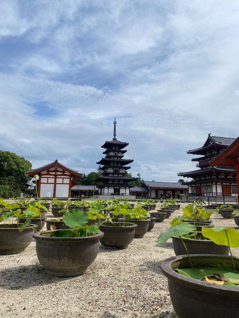 スチームゴリラさんのグランドメルキュール奈良橿原のサ活写真