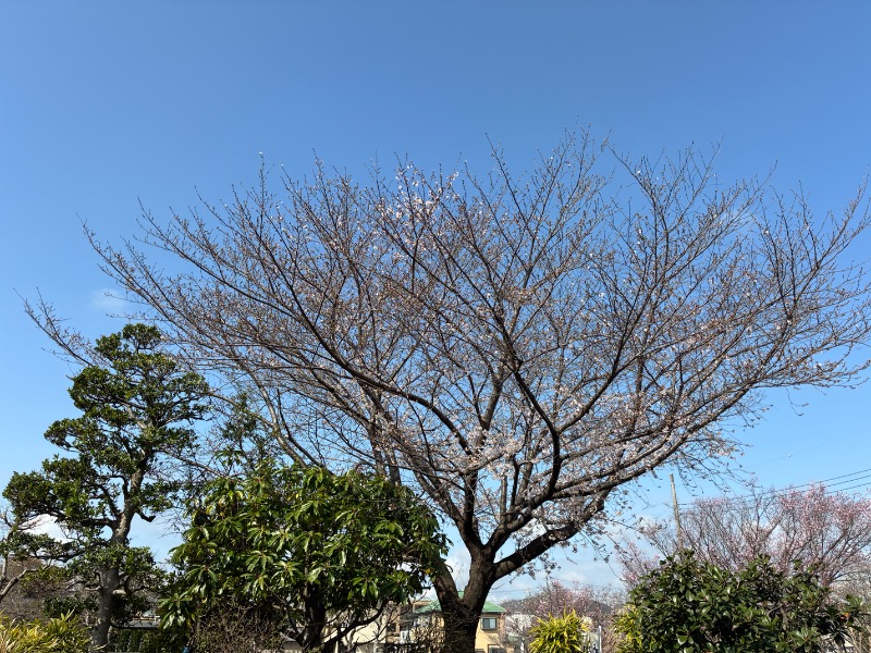 すえぞう⚾️🏈🎭🍜🍺♨️さんの天然温泉 真名井の湯 大井店のサ活写真