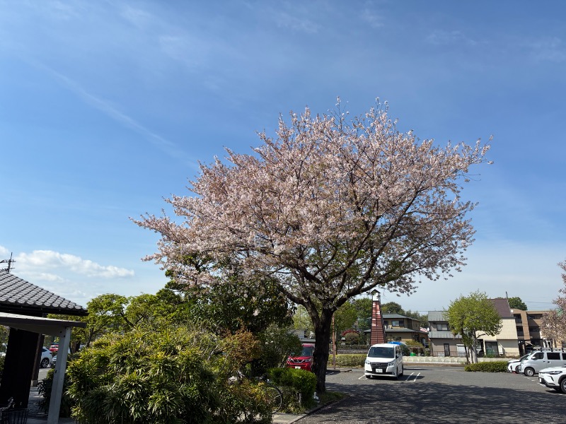 すえぞう⚾️🏈🎭🍜🍺♨️さんの天然温泉 真名井の湯 大井店のサ活写真
