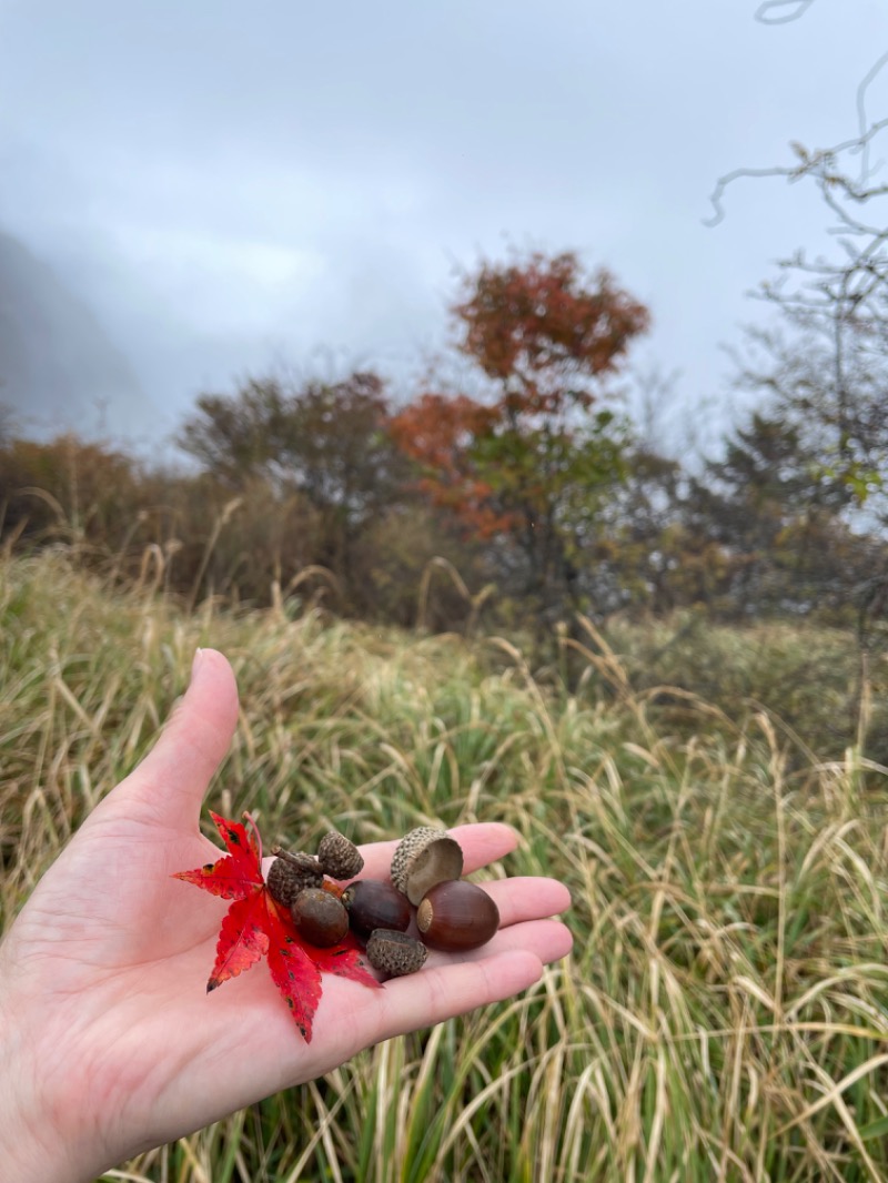 ＡＫＰさんの芭蕉 月待ちの湯のサ活写真