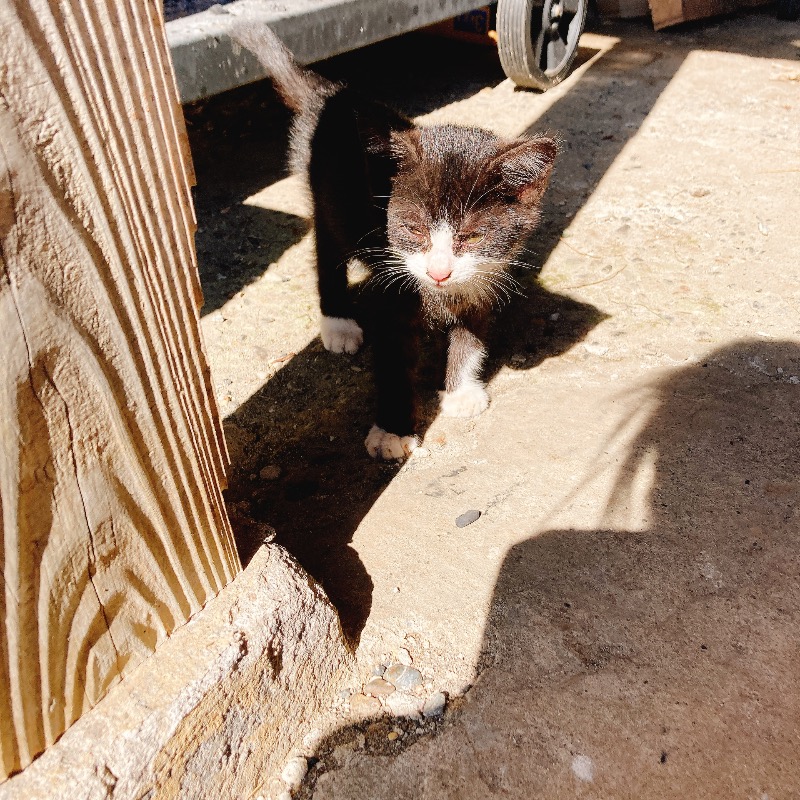 さみちょさんのTAKIVILLAGE LEPOのサ活写真