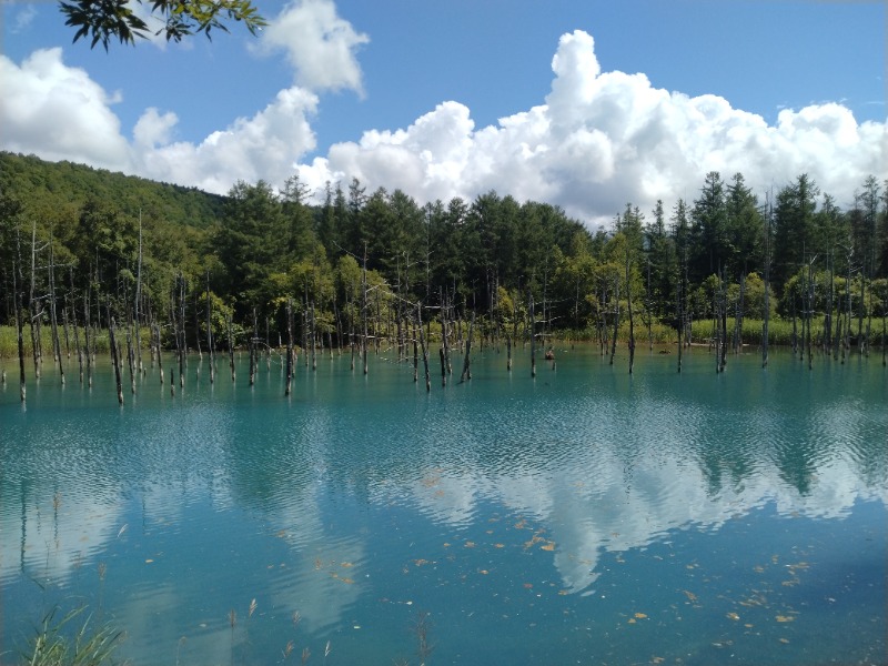 hiromi(葛西橋サウナクラブ事務局)さんの吹上温泉保養センター 白銀荘のサ活写真