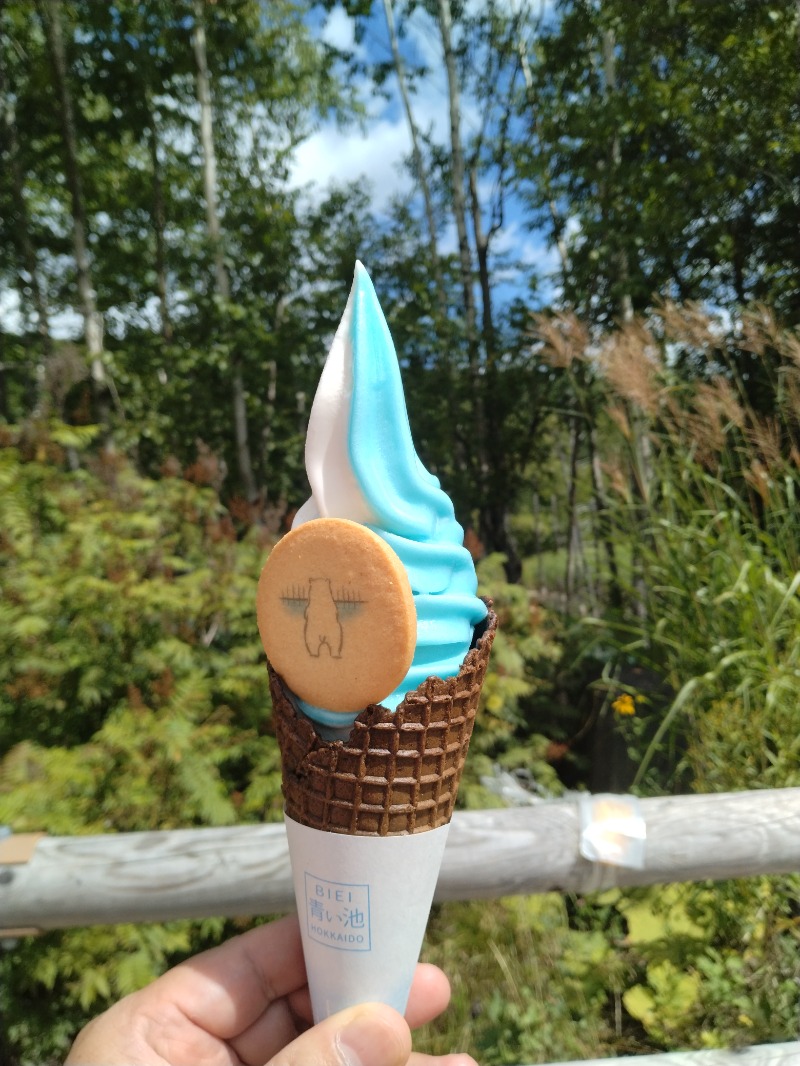 hiromi(葛西橋サウナクラブ事務局)さんの吹上温泉保養センター 白銀荘のサ活写真