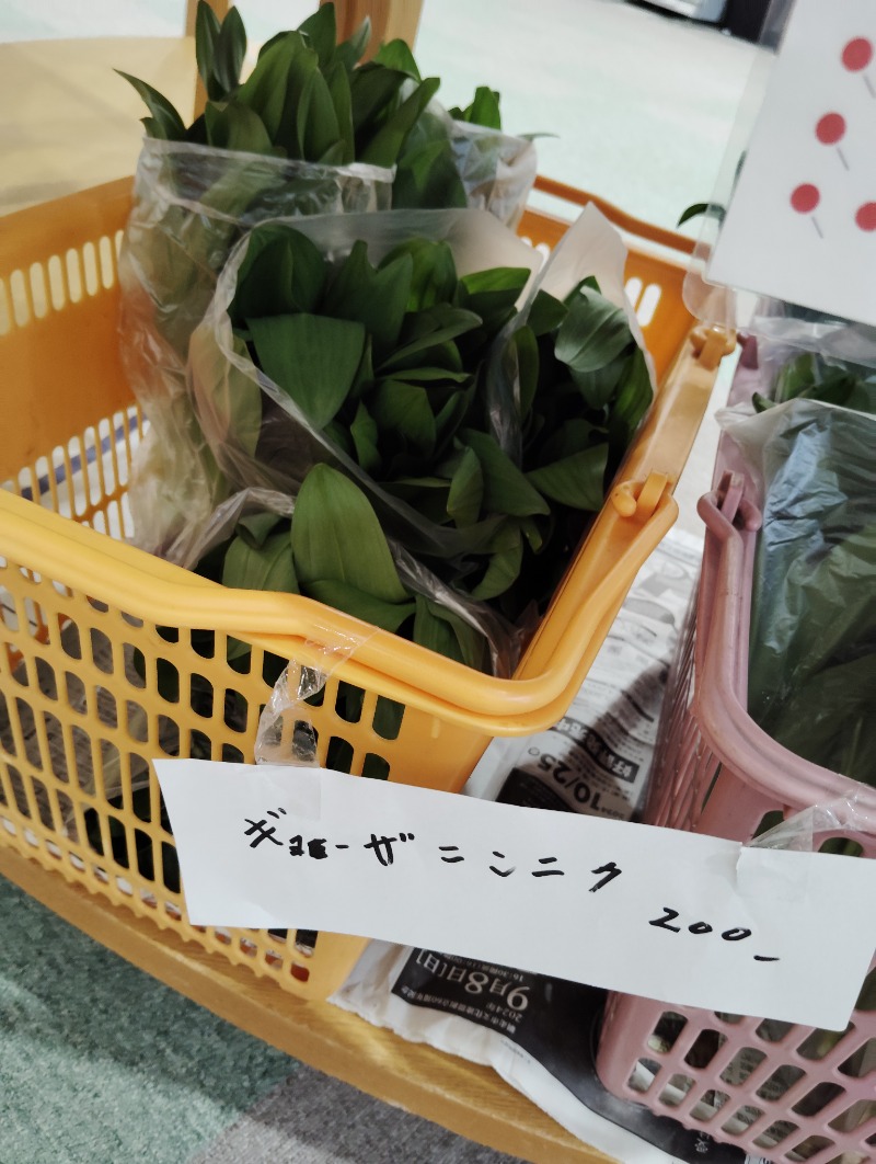 ピエさんの丸瀬布温泉やまびこのサ活写真