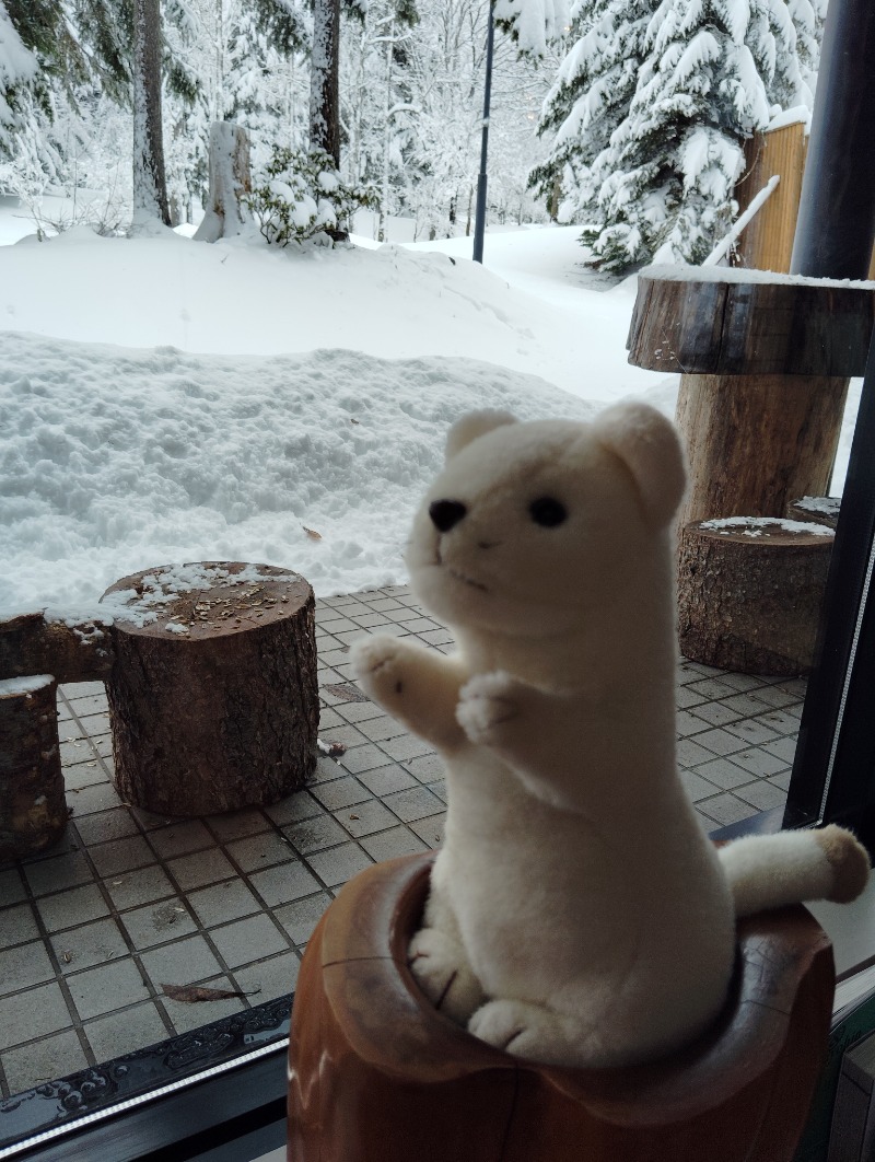 ピエさんの奥屈斜路温泉ランプの宿森つべつのサ活写真