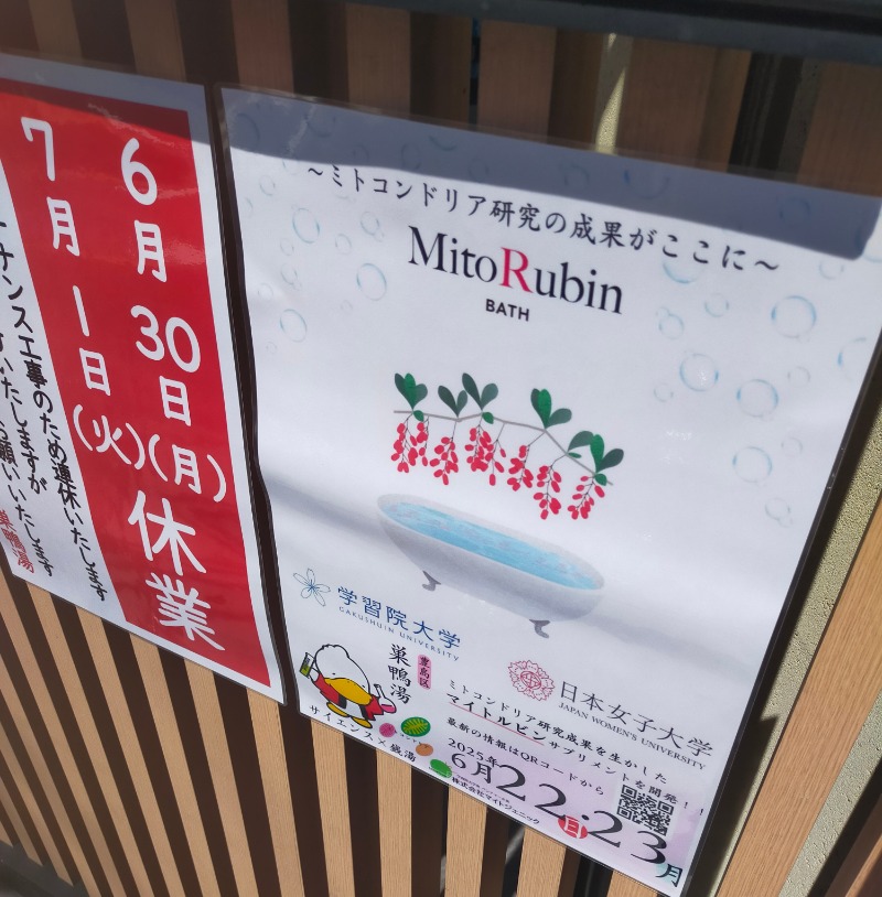 みやびさんの巣鴨湯のサ活写真