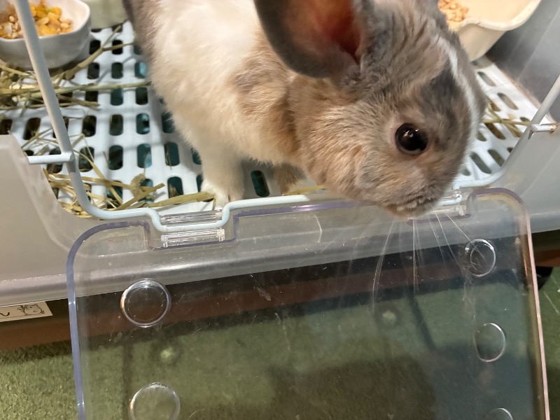 キコリン2009②さんのアクアリゾート 岐阜ふじの湯のサ活写真