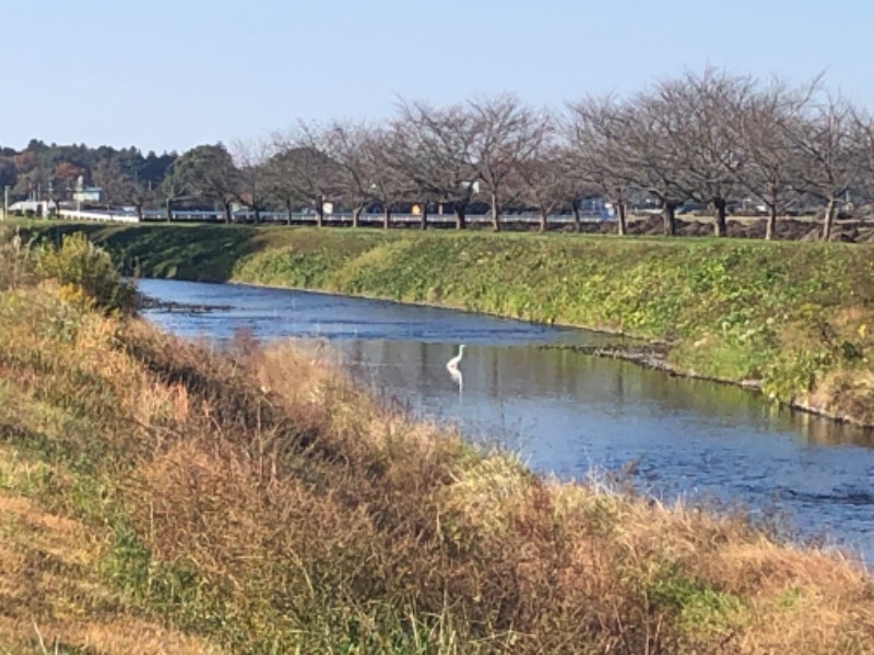 無口なライオンさんの道の駅はが ロマンの湯のサ活写真