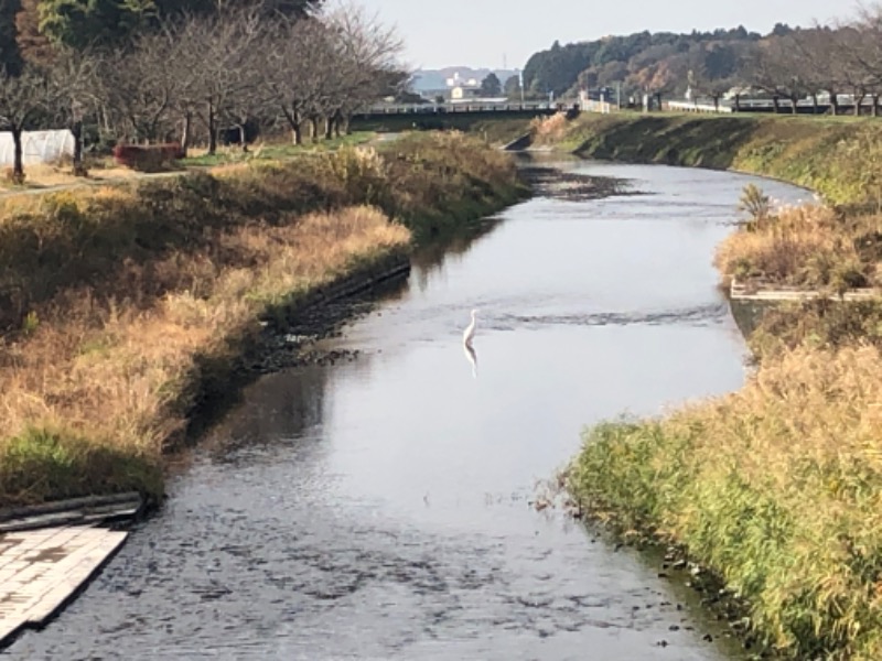 無口なライオンさんの道の駅はが ロマンの湯のサ活写真