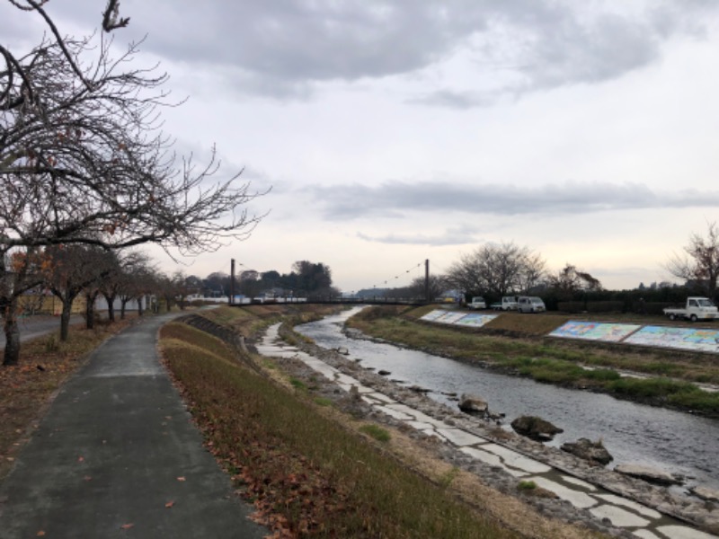無口なライオンさんの道の駅はが ロマンの湯のサ活写真