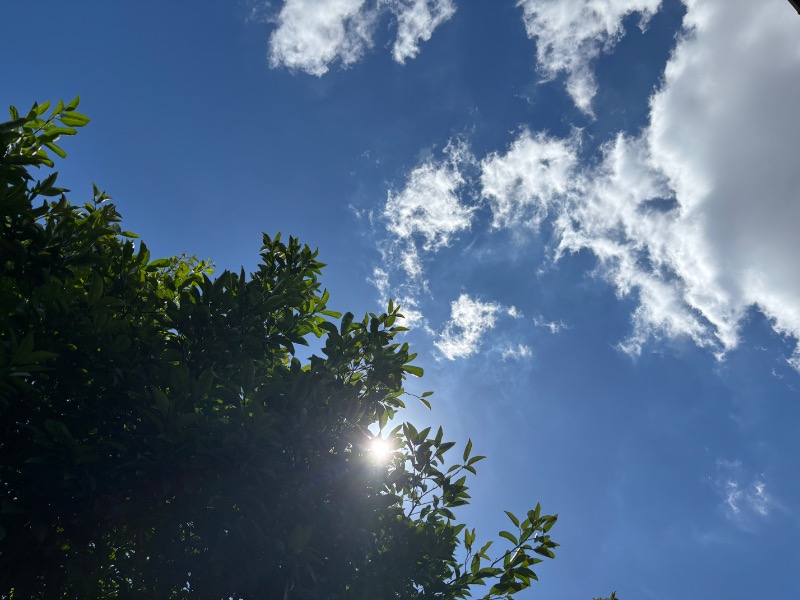 蒸もの倶楽部さんの堀田湯のサ活写真